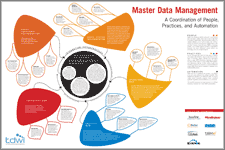 Master Data Management