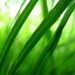  SunGard Availability Services