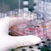 FDA Issues Another Emergency Use Authorization for Commercial H1N1 Flu Test to Quest Diagnostics