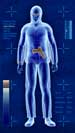 FlyersRights.org: Michael Chertoff Pitch Man for Full-body Scanners