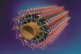 NanoRisk: What Can You Do About It?
