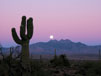 State Of Arizona To Offer WHTI-Compliant Driver’s License 
