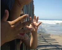 The Fight for Immigration Reform
