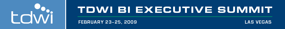 TDWI World Conference Executive Summit Las Vegas 2009 Banner