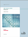 Self-Service BI