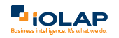 iOLAP