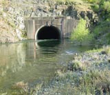 Case Study: Unique Diversion  