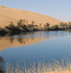 Evaporating the Water Mirage 