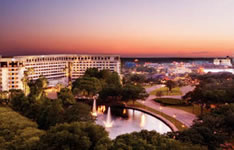 Hilton